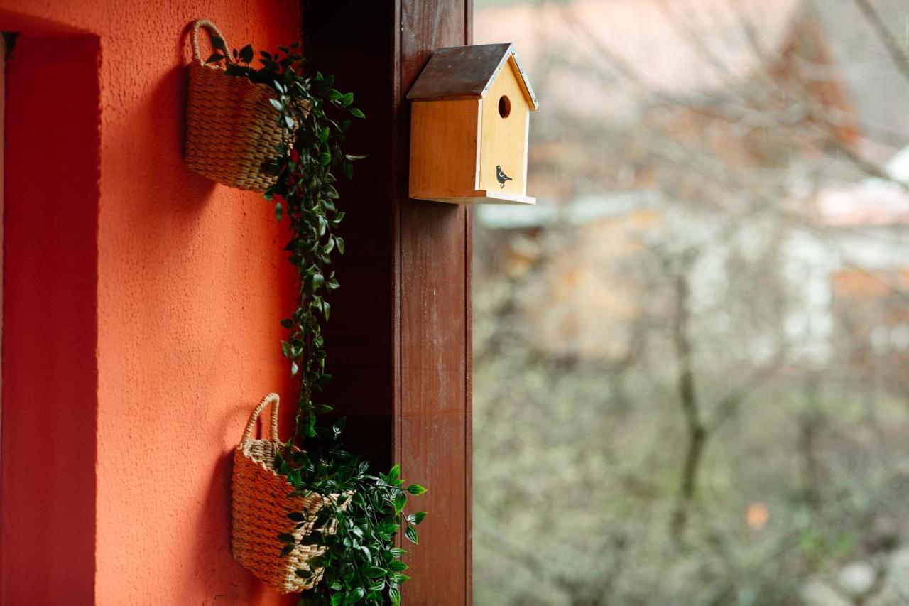 Home & Garden With Stunning View Sinaia Bagian luar foto